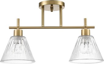 Люстра средней высоты Lumion Comfi Vivian 8188/2C