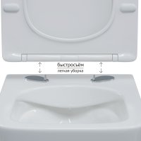 Унитаз подвесной Berges Wasserhaus Floe S Rimless + Visam Slim 525 EX-043244 (с сиденьем)