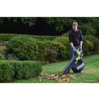 Колесная воздуходувка Ryobi RBV36B [5133002524]