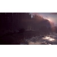  Life is Strange 2: Полное издание для PlayStation 4
