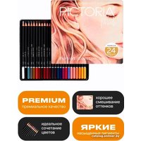 Набор цветных карандашей Pictoria Portrait CPS24P (24 шт)
