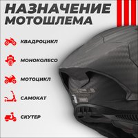 Мотошлем LS2 FF805 Thunder C GP Pro Fim (2XL, черный матовый)