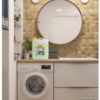 Кондиционер для белья Laima Professional Альпийская свежесть 606374 (5 л)