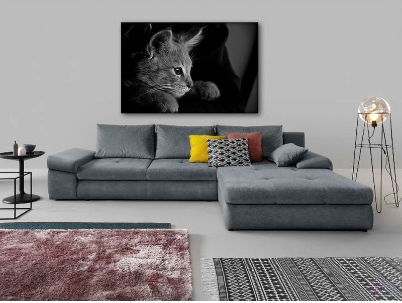Модульная картина Citydecor Животные/Птицы 1.130 60x90 см