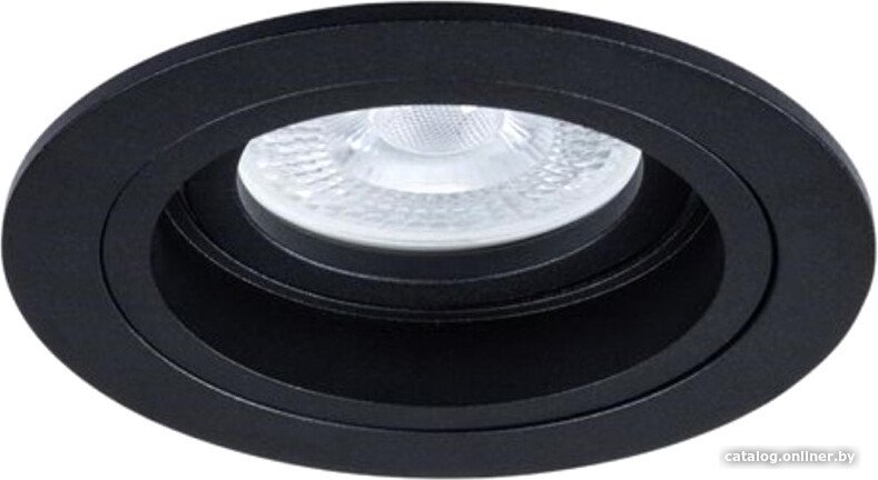 Точечный светильник Arte Lamp Tarf A2177PL-1BK