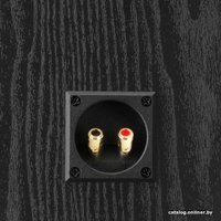 Внешний модуль объемного звука DALI Alteco C-1 (черный)