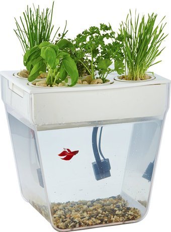 

Акваферма Назад к истокам AquaFarm 11 л (белый)