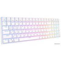 Клавиатура Royal Kludge RK100 RGB (белый, RK Red)