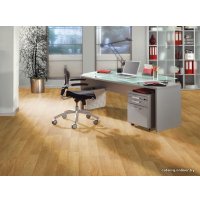 Ламинат Kronostar Home Standart V4 Дуб Беленый (D2413) в Витебске