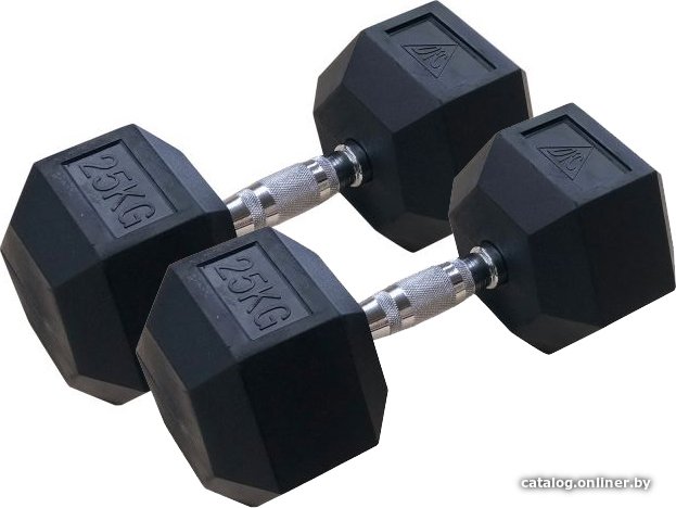 Набор гантелей DFC DB001-25 2x25 кг