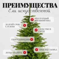 Ель Erbis Swierk PE Gesty Lux 180