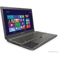 Ноутбук Packard Bell EasyNote TE69KB-12504G50Mnsk (NX.C2CER.004)