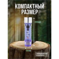 Фонарь FORSAGE F-CAM590 (60097)