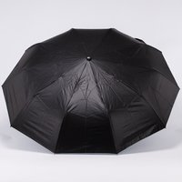 Зонт Rain Berry 734-23335.1 (черный/голубой)