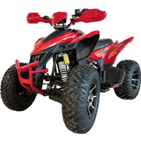 Квадроцикл Yacota Typhoon 250 LD (красный) в Могилеве