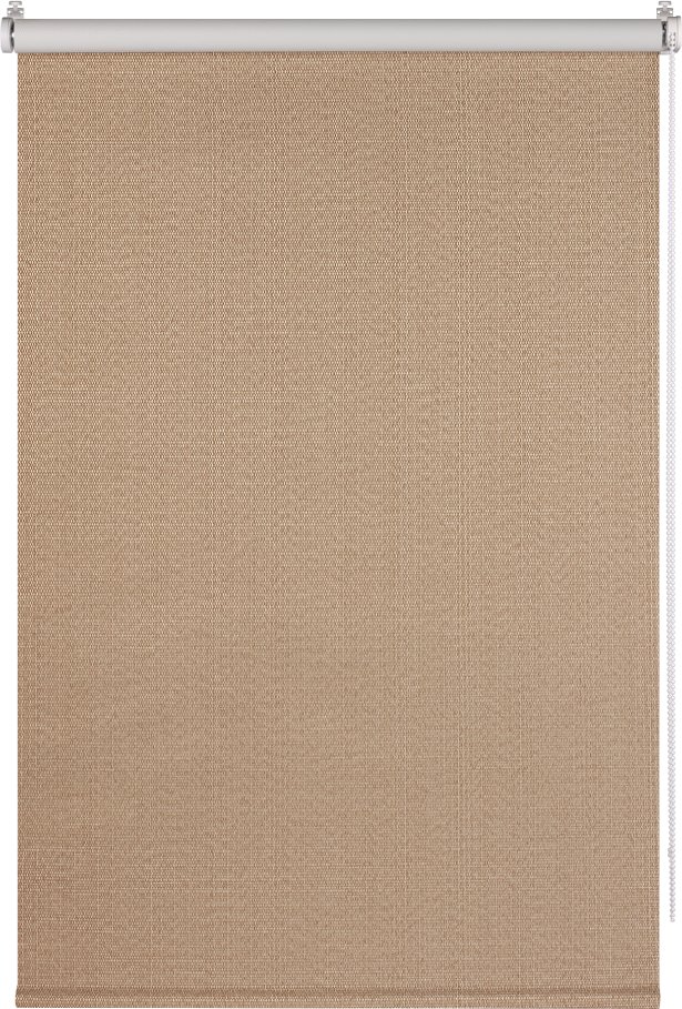 

Рулонные шторы Franc Gardiner Blackout Dublin 45x160 8317802 (коричневый)