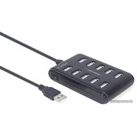USB-хаб Gembird UHB-U2P10P-01
