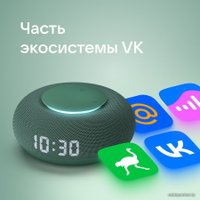 Умная колонка VK Капсула Мини (хвойный зеленый)