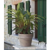 Кашпо Cermax Calima Basalt T-227-025-19-Р