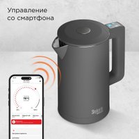 Электрический чайник Redmond (Редмонд) SkyKettle KM231S (серый)