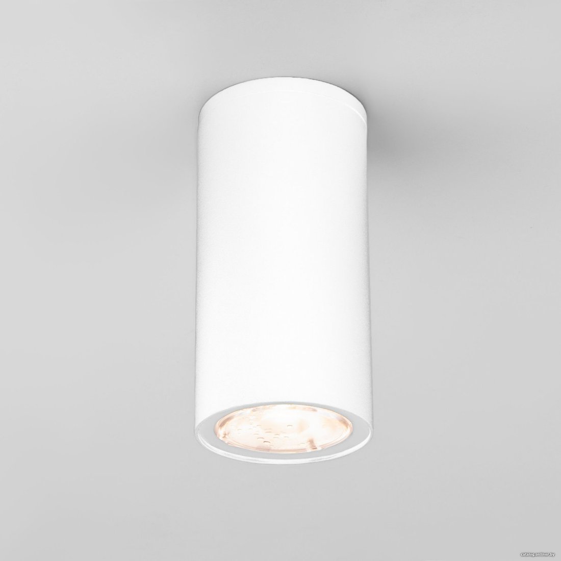 Уличный накладной светильник Elektrostandard Light 2102 35129/H (белый)
