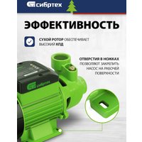 Садовый насос СибрТех СПН450-Ч