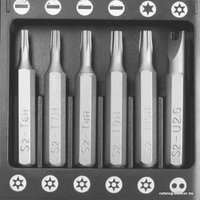 Набор отвертка с битами Tundra 882123 (25 предметов)