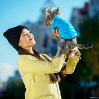 Куртка для животных AiryVest Jacket Lumi (S30, салатовый/голубой)