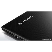 Ноутбук Lenovo G500s (59388896)