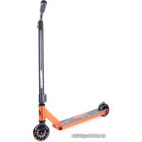 Трюковый самокат Tempish Ventus Elox 110 (оранжевый) в Пинске