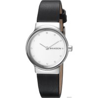 Наручные часы Skagen SKW2668