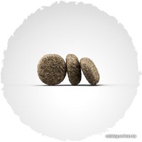 Сухой корм для собак Josera MiniDeluxe 15 кг