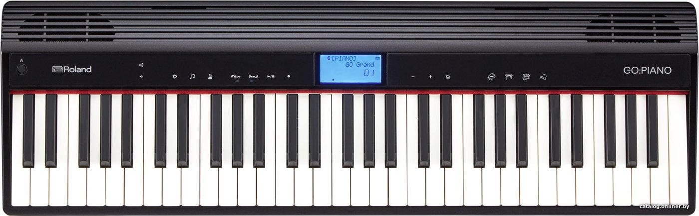 Цифровое пианино Roland Go:Piano GO-61P