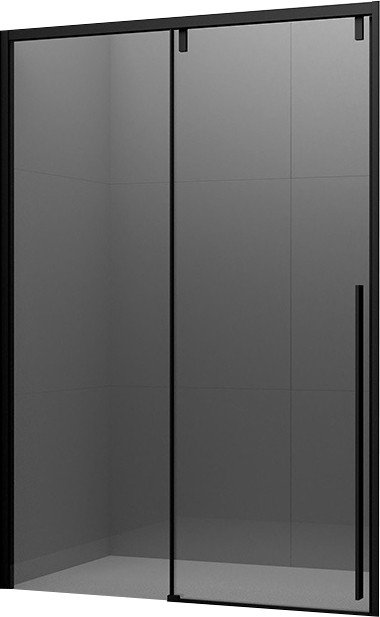 

Душевая дверь Ambassador Intense 160x200 110022205IBB