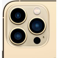 Телефон Apple iPhone 13 Pro Max Dual SIM 1TB (золотой)