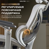 Офисное кресло Evolution ZX 3 (серый)