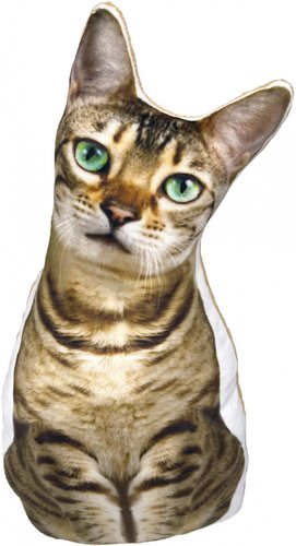 Мальвина Кот Бенгальский 9.401.1