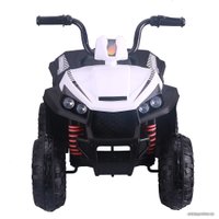 Электроквадроцикл Pituso S601 (белый)