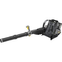 Ранцевая воздуходувка Karcher LBB 1060/36 Bp 1.042-510.0 (с 1-им АКБ)