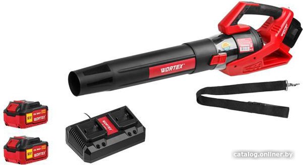 Садовая воздуходувка Wortex BB 2536 D ALL1 1333405 (с 2-мя АКБ)