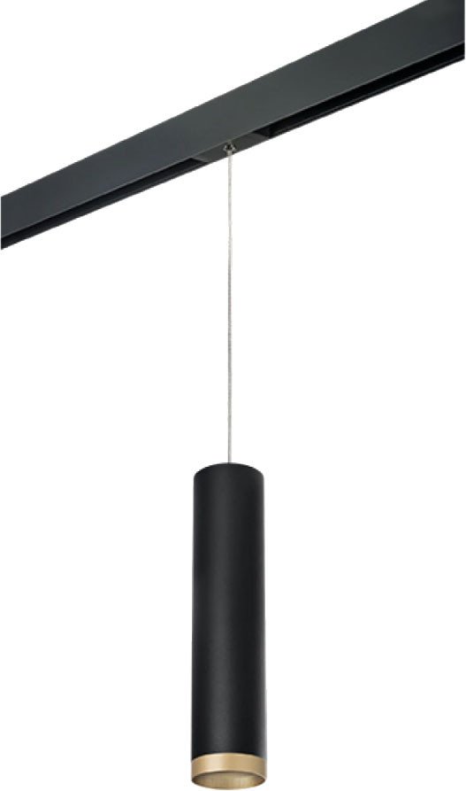 

Трековый светильник Lightstar Rullo PRORP49740