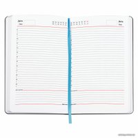 Ежедневник BRAUBERG недатированный Van Gogh 111983 (голубой)