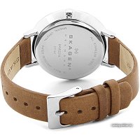 Наручные часы Skagen SKW2214