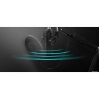 Проводной микрофон Genesis Radium 300 XLR