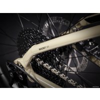 Велосипед Trek Roscoe 6 M 2020 (бежевый)