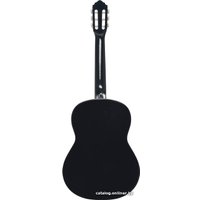 Акустическая гитара Veston 4/4 C-50A SP/N