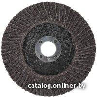 Шлифовальный круг Cutop Profi P80 70-12580