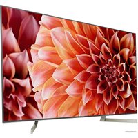 Телевизор Sony KD-65XF9005