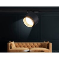 Трековый светильник Ambrella light GL5381 BK/GD (черный/золото)