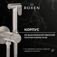 Гигиенический душ Roxen Santi 50094000-BN